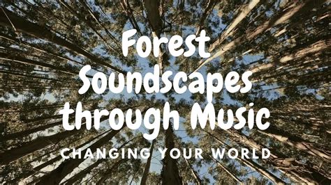 Forest Sound Healing: Nature's Symphony for Well-being